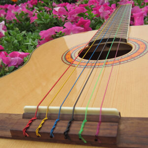 Colourful Classical Guitar Strings by Alice - Strings On Guitar – Buy  Colourful Guitar Strings Online